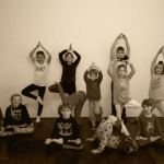 YogiStars-2018